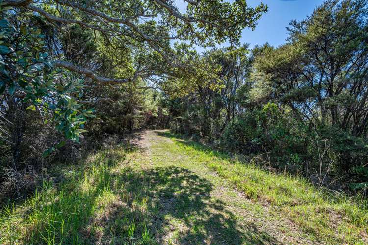 143 Cowes Bay Road Waiheke Island_12