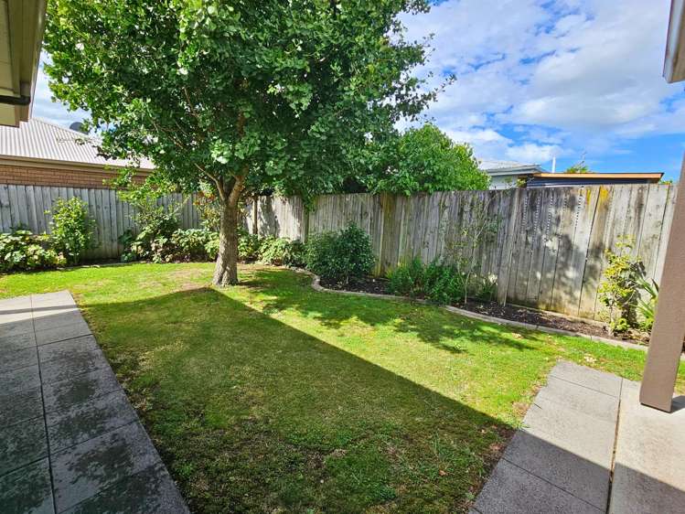 47b Nelson Street Mayfield_17