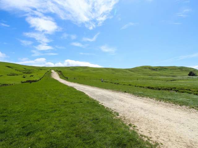 1530 Waihi Valley Road Pongaroa_4