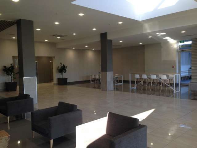 45 O'Rorke Road Penrose_2