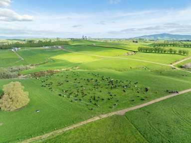 1918 Morrinsville-Walton Road_2