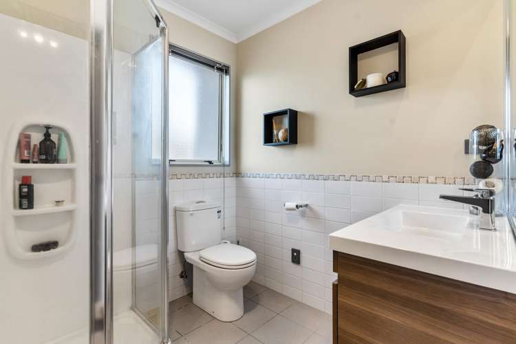 83 Wayne Francis Drive Flat Bush_13