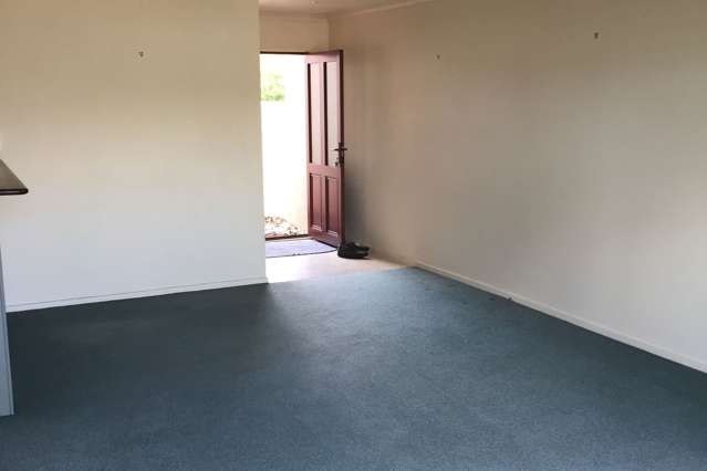 29e Claudelands Road Hamilton East_1