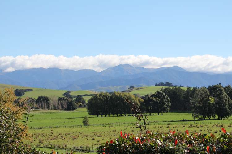 82 James Road Rangitumau_24