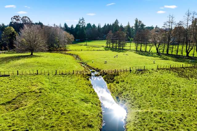 Lot 2/634 Oruanui Road Oruanui_4