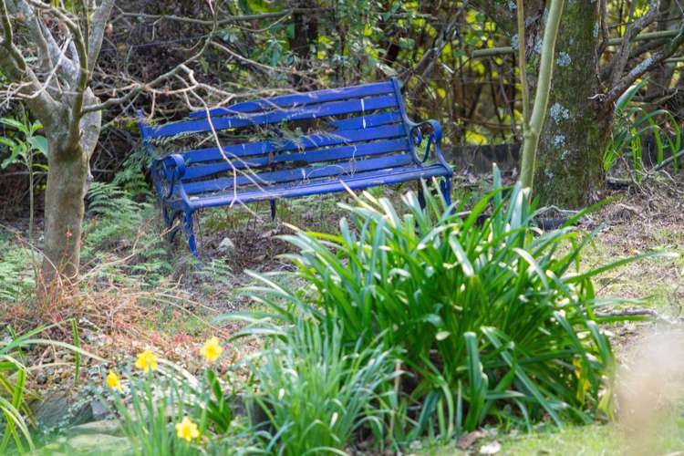 598c Wright Road Aongatete_24