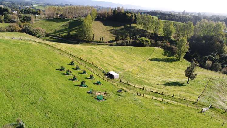 531 Wright Road Aongatete_18