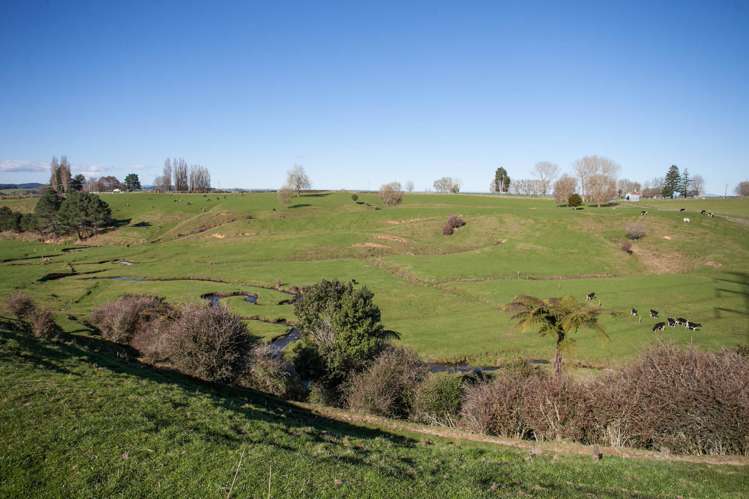 772 Oreipunga Road Cambridge_5