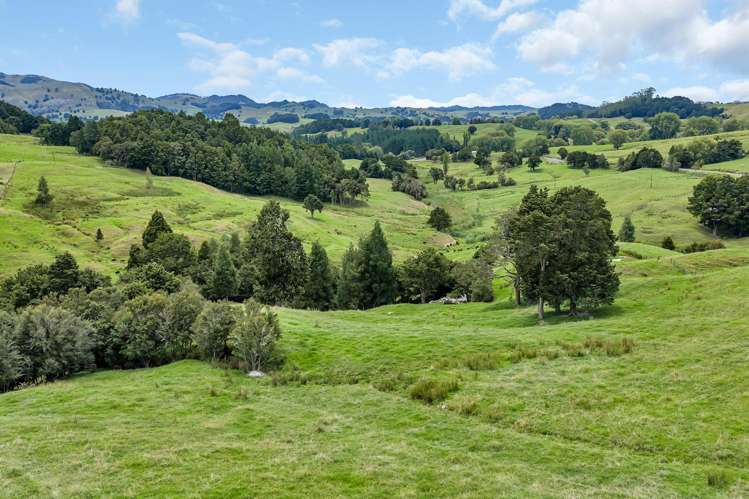 Pipiwai Road Purua_28