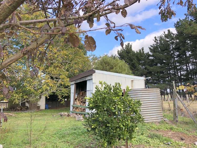 10 Tower Street Ormondville_13