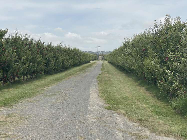 Rockit Orchard No.2 LP Hastings_14