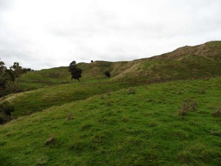 2837 State Highway 4 Aria_15