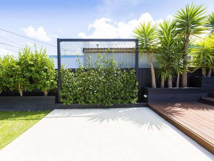 26 Logan Street Ebdentown_18