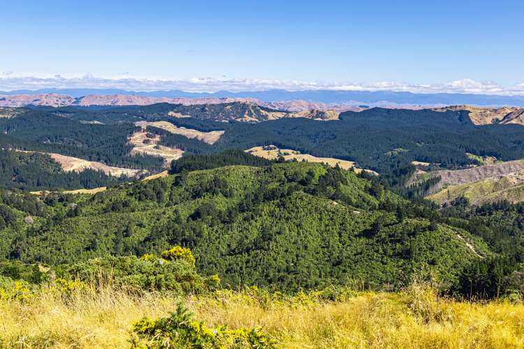 Ngahape Road Masterton_3