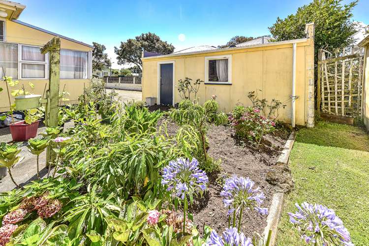 1 Plunket Street Durie Hill_16