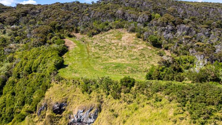Pukematu Lane_2