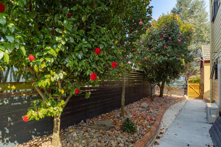 11 Carlyle Crescent Witherlea_22