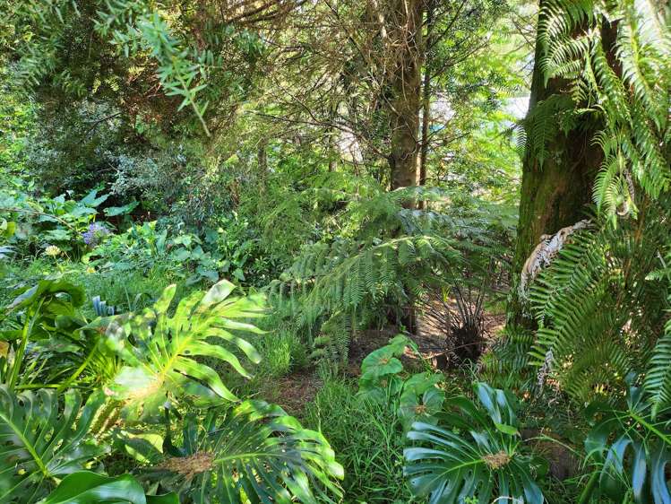 42 Mcentee Road Waitakere_13