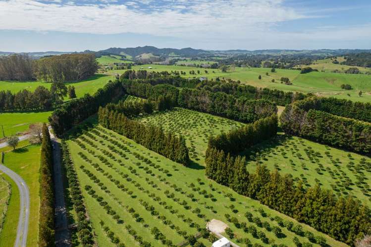 908A Te Ahu Ahu Road, Waimate North Kerikeri_12