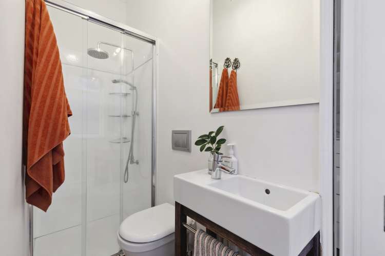 42 Aro Street Aro Valley_7