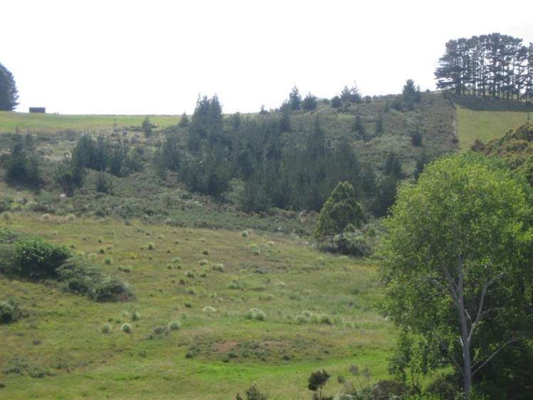 12 Pekama Drive Cable Bay_16