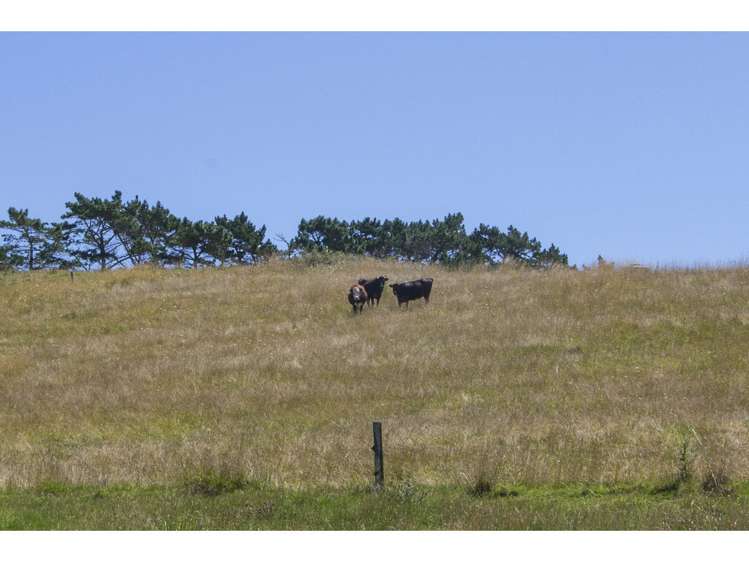 97 Nukuroa Road Oruawharo_19