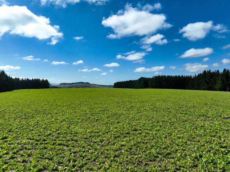 125 Tomogalak Road Ardlussa_15