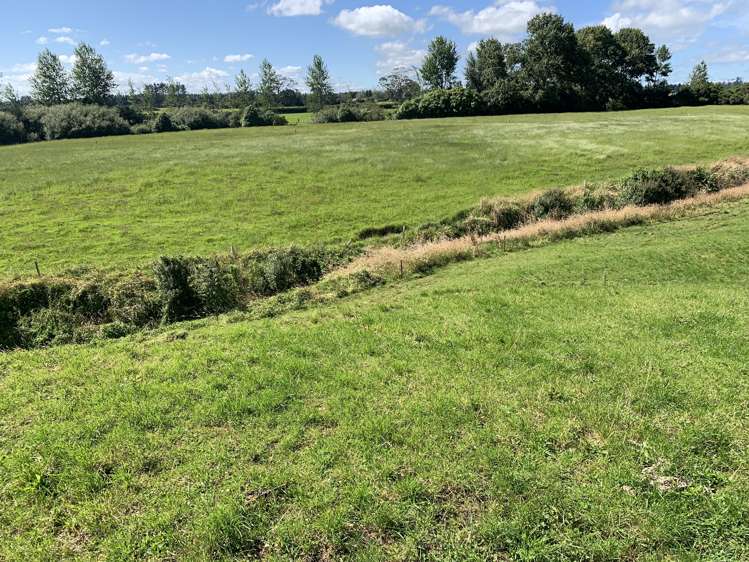 2121 Mountain Road Tariki_6