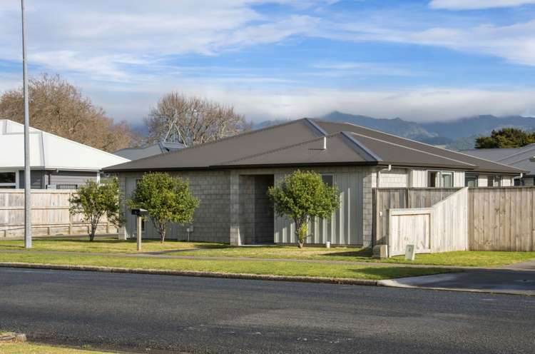 10a Park Road Katikati_15