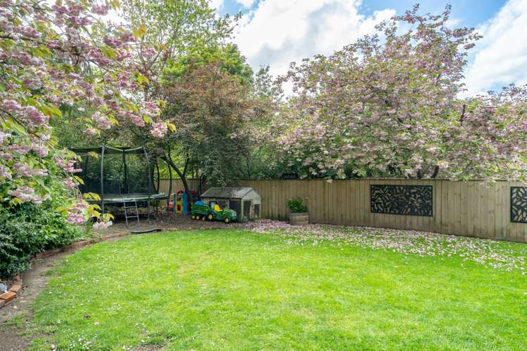 28 Ralston Street Allanton_16