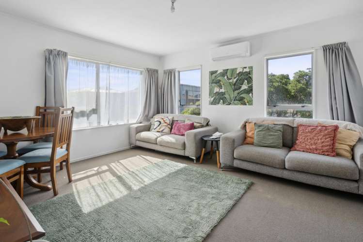 65 Freyberg Street Lyall Bay_12