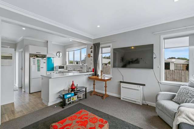 15 Worcester Street Levin_3