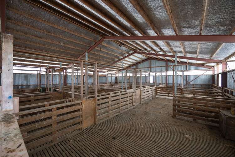 63b Sligo Terrace Roslyn_16