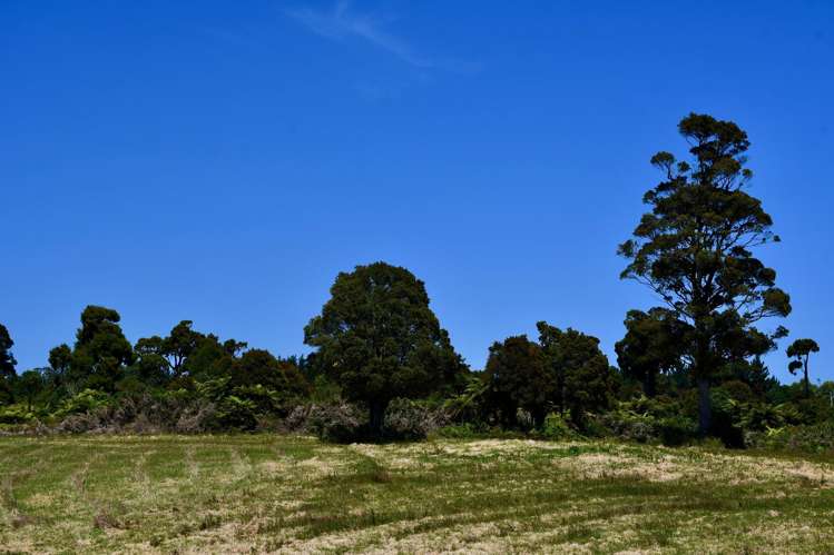 Lot 5 South Terrace Road Karamea_25
