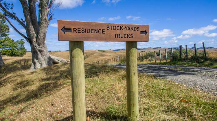 565 Matakitaki Road Glen Murray_20