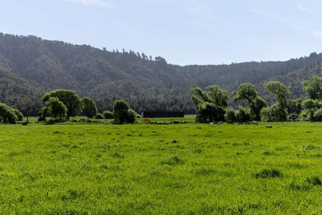 537 Ronga Road Rai Valley_3