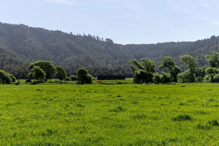 537 Ronga Road Rai Valley_3