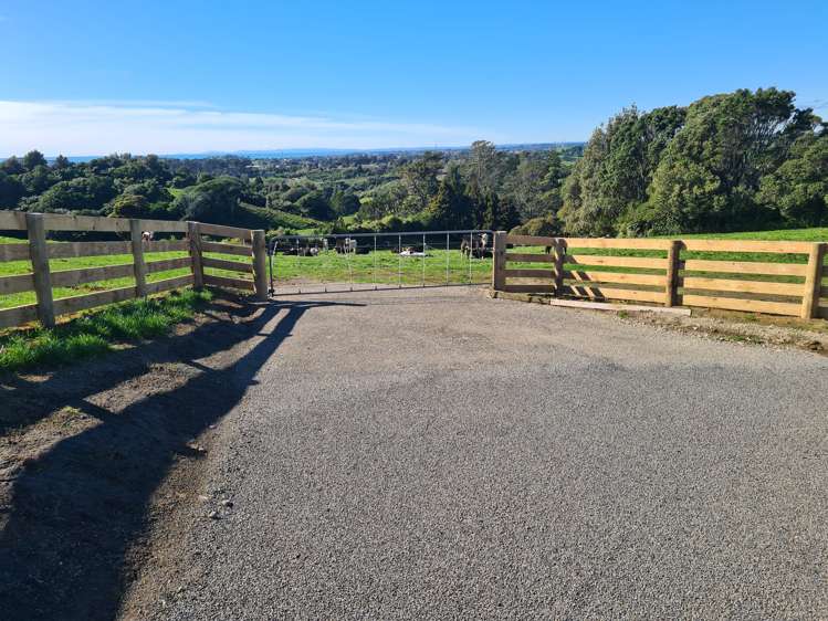 568 South Road Omata_7