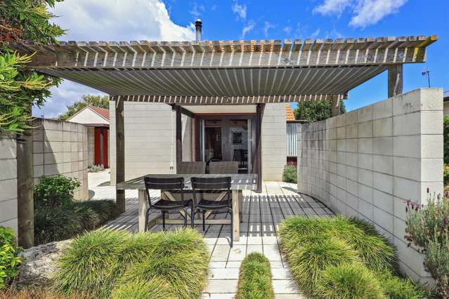 910C Albert Street Parkvale_2