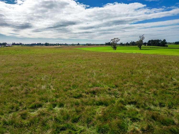 150 Waimate Hunter Road_4