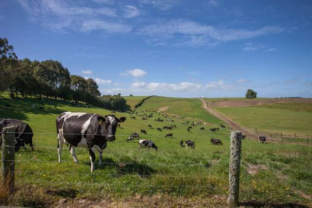 59 Arapuni Road Putaruru_1