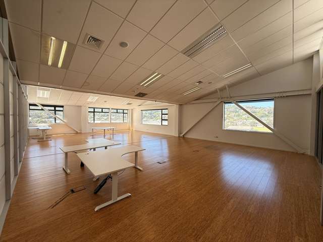 129 Park Road Miramar_4