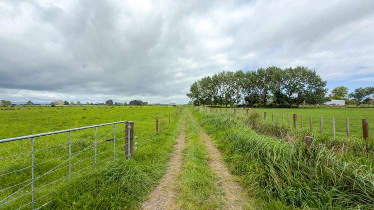 264 Matatoki Road Matatoki_19