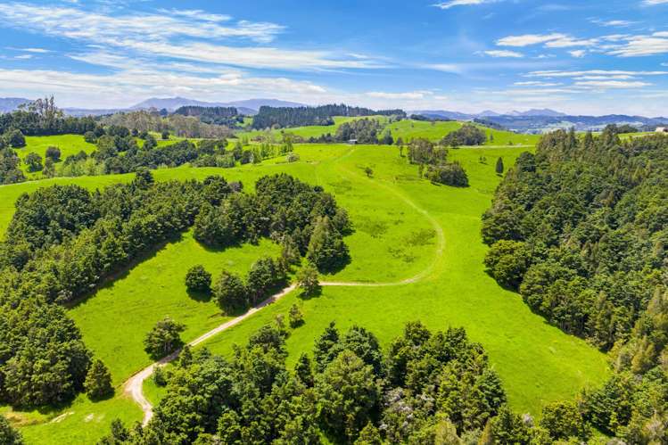 Norvil Road Titoki_6