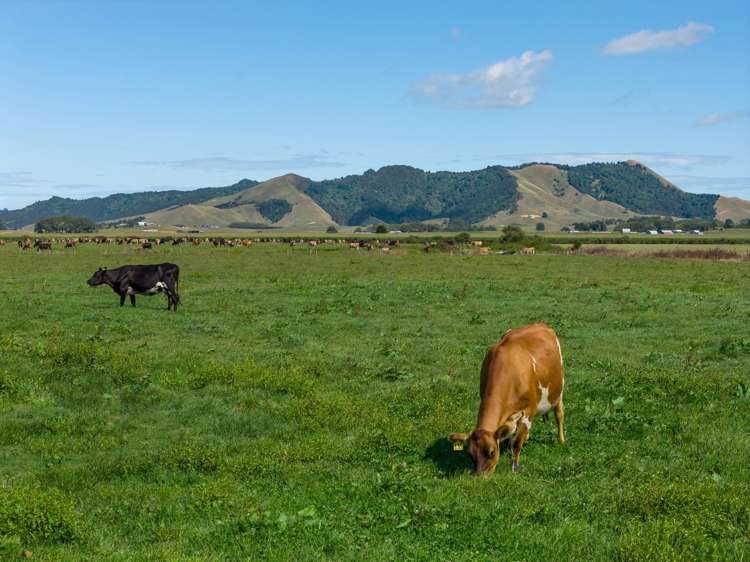 331 Kneebone Road Orini_20