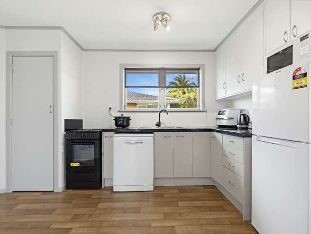 52 Froude Street Whakarewarewa_4