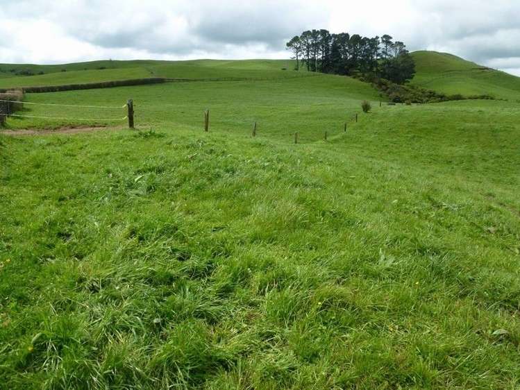 1265 Mountain Road Inglewood_18