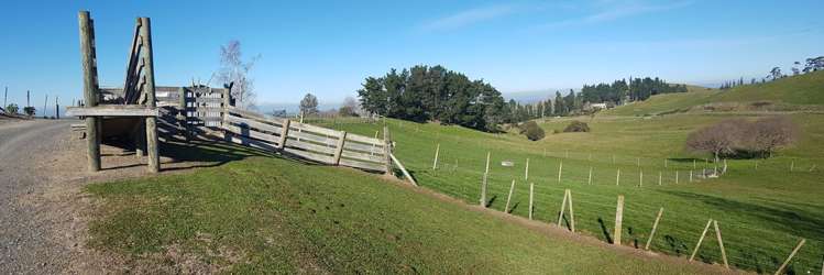 78 Flag Range Road Sherenden_13