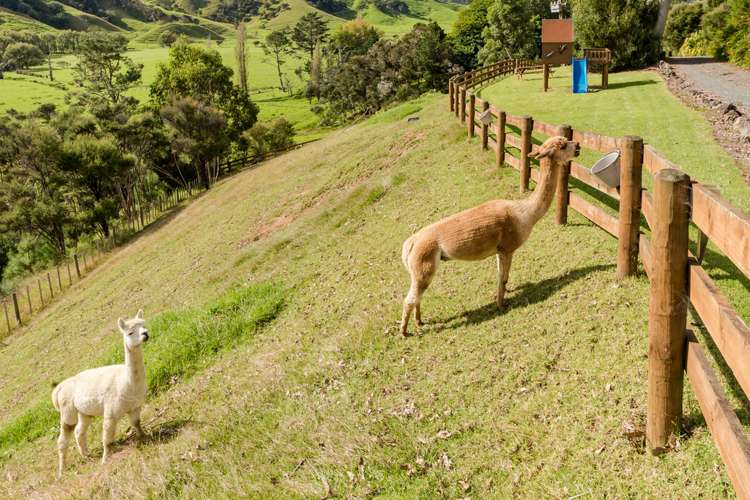 348 Wainui Road Kaeo_19