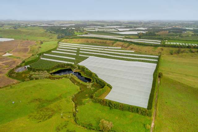 472 Old Coach Road Paengaroa_1